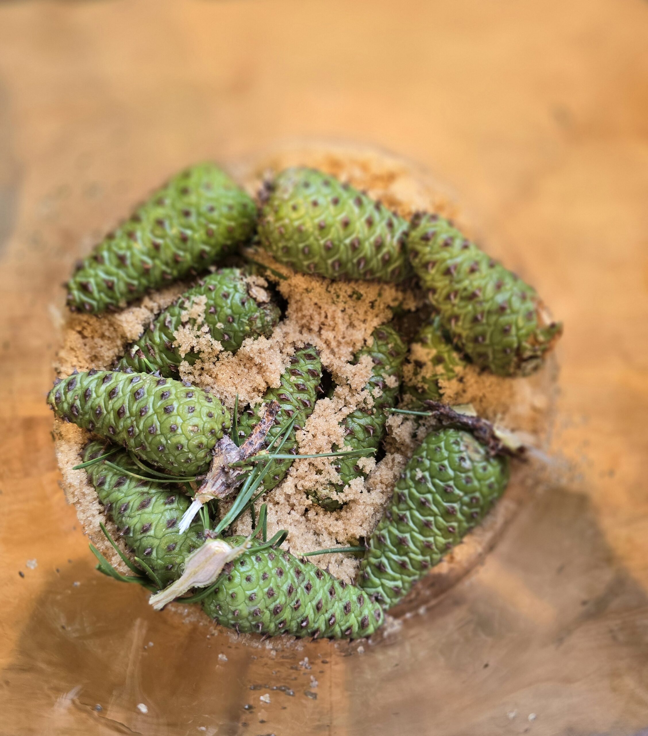 Pine Cone Syrup - Simple Homestead Living